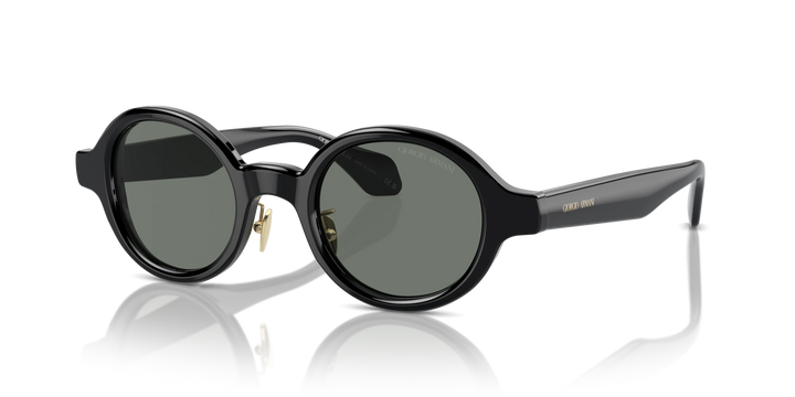 Giorgio Armani AR8205 6060/1 46 Sunglasses