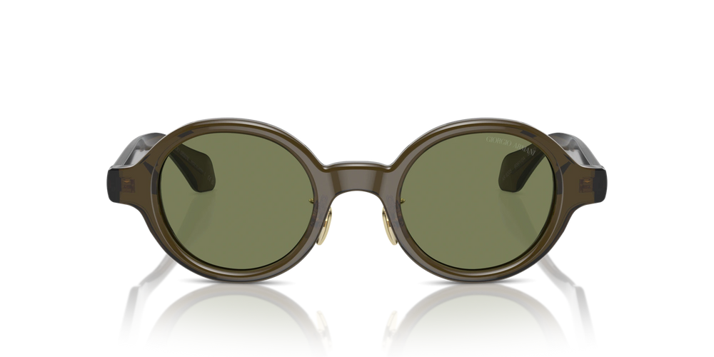 Giorgio Armani AR8205 60612A 46 Sonnenbrille