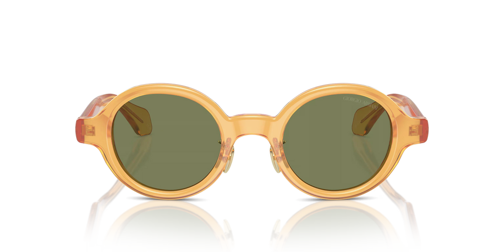 Giorgio Armani AR8205 60632A 46 Sunglasses