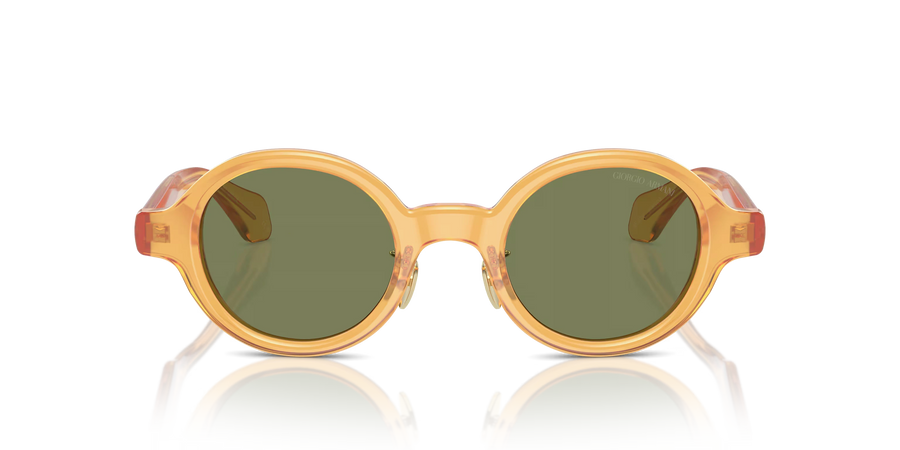 Giorgio Armani AR8205 60632A 46 Sunglasses