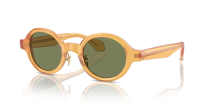 Giorgio Armani AR8205 60632A 46 Sunglasses