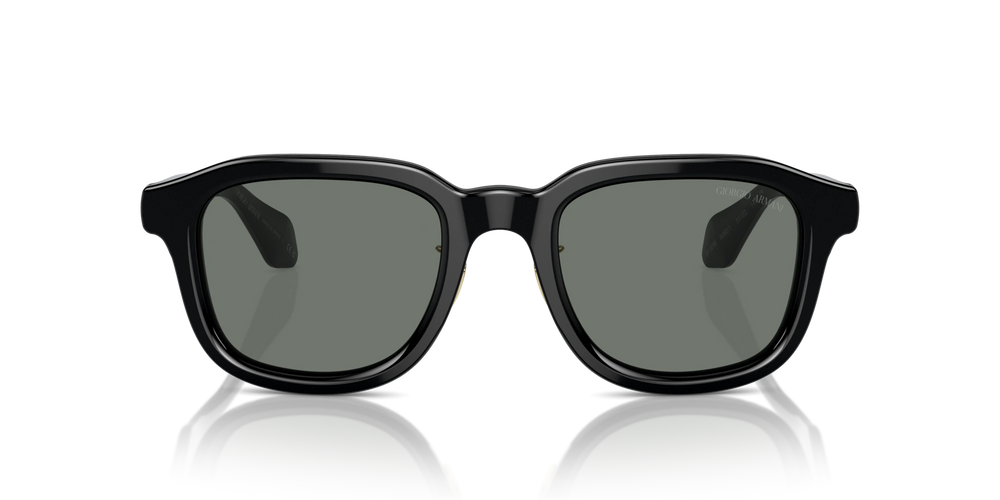Occhiali Da Sole Giorgio Armani AR8206 6060/1 51