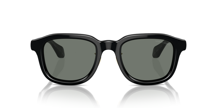 Occhiali Da Sole Giorgio Armani AR8206 6060/1 51