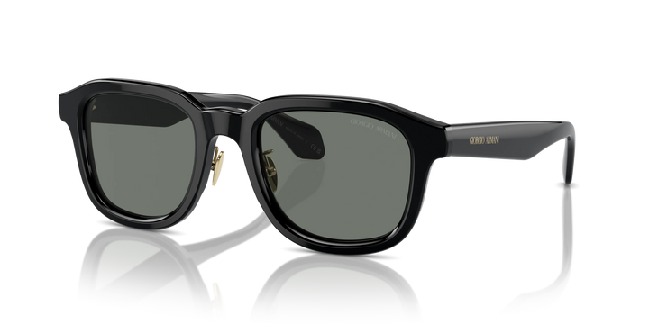 Occhiali Da Sole Giorgio Armani AR8206 6060/1 51