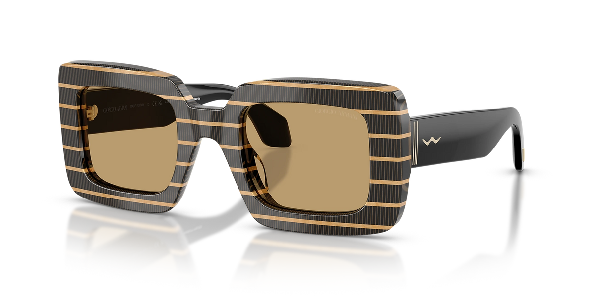 Occhiali da sole Giorgio Armani AR8241U 622673 48
