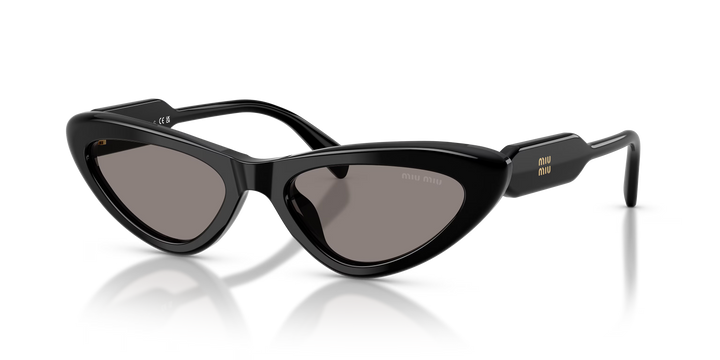 Miu Miu Sunglasses MU B11SU 16K80Q 55