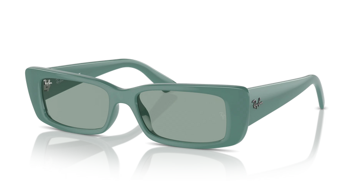 Ray-Ban TERU Bio-Based Sunglasses RB4425 676282 54