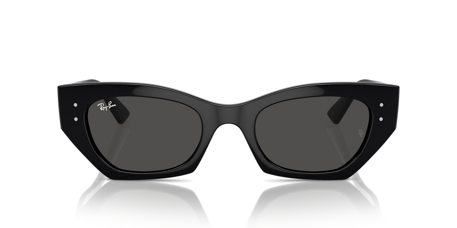 Sonnenbrille Ray-Ban Zena RB4430 667787 49