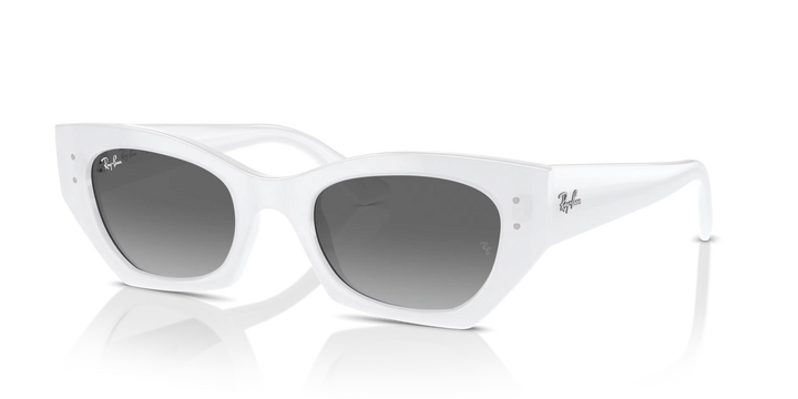 Occhiali Da Sole Ray-Ban ZENA Bio-Based RB4430 675911 49