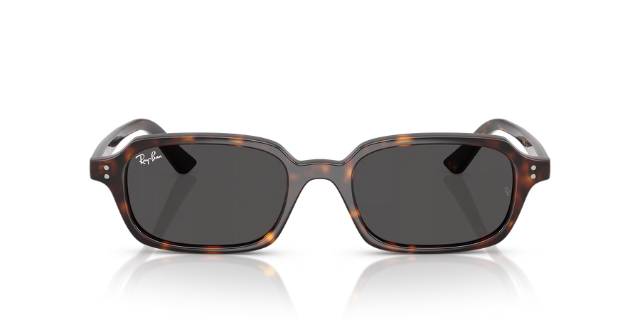 Ray-Ban RB4455 ZURI 135987 Sunglasses