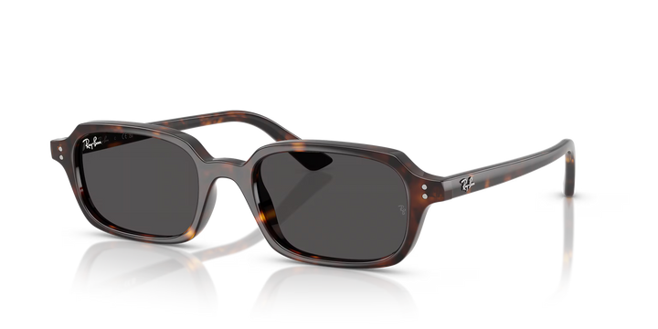 Ray-Ban RB4455 ZURI 135987 Sunglasses