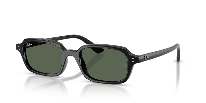Occhiali Da Sole Ray-Ban RB4455 ZURI 667771 49