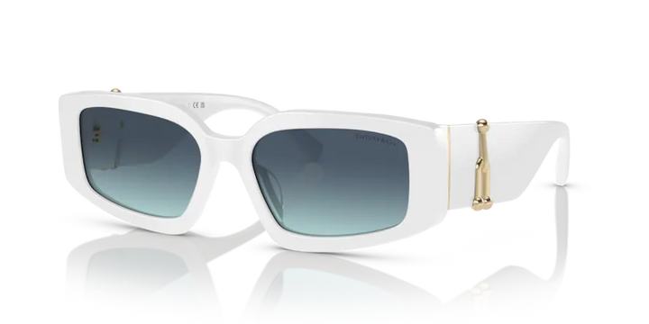 Tiffany Sonnenbrille TF4208U 83579S 54 