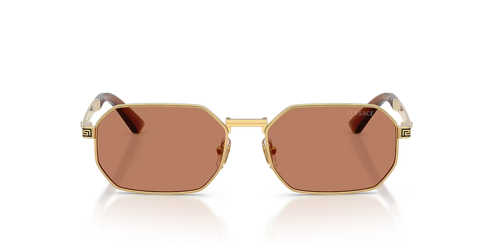 Versace Sunglasses VE2297 100273 54