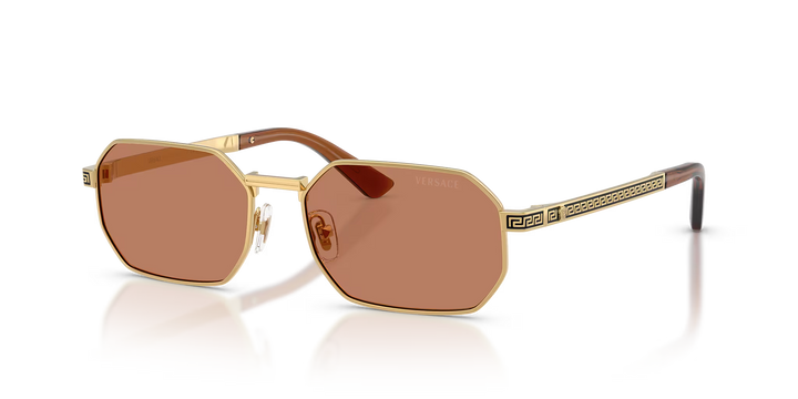 Versace Sunglasses VE2297 100273 54