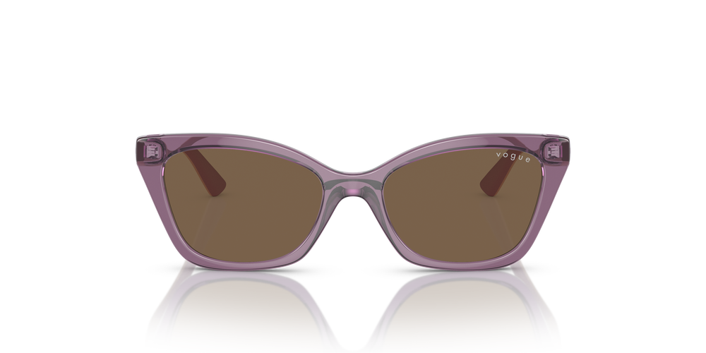 Vogue Sonnenbrille 0VJ2020 306473 48