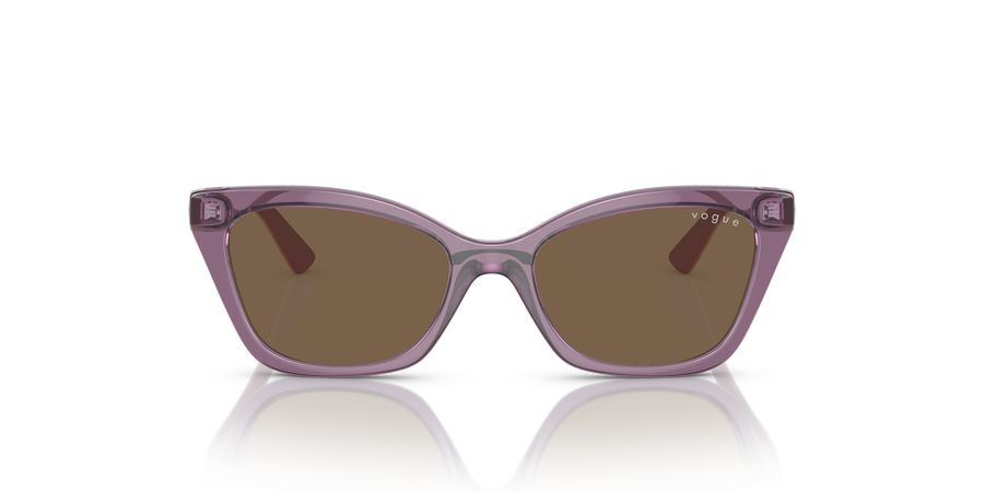 Vogue Sonnenbrille 0VJ2020 306473 48