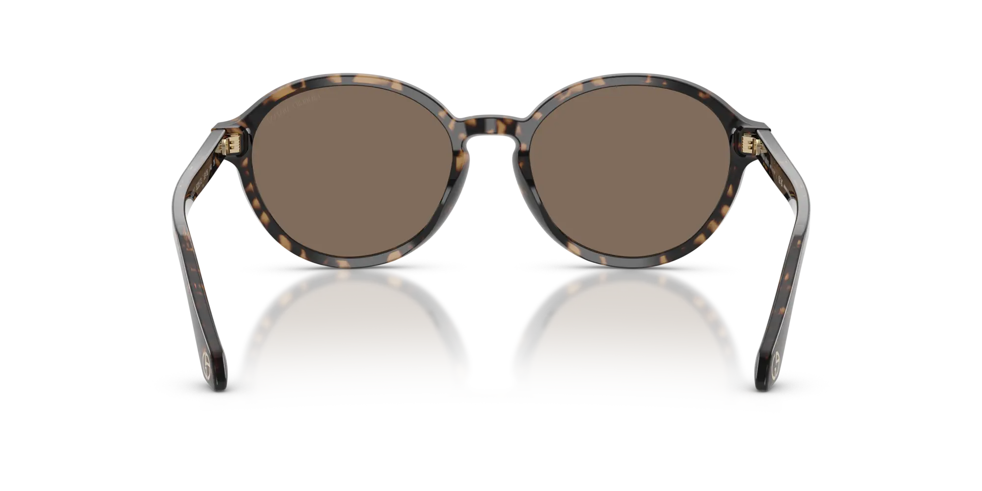 Occhiali Da Sole Giorgio Armani AR8237 623573 53