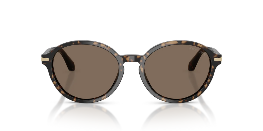 Giorgio Armani AR8237 623573 53 Sunglasses