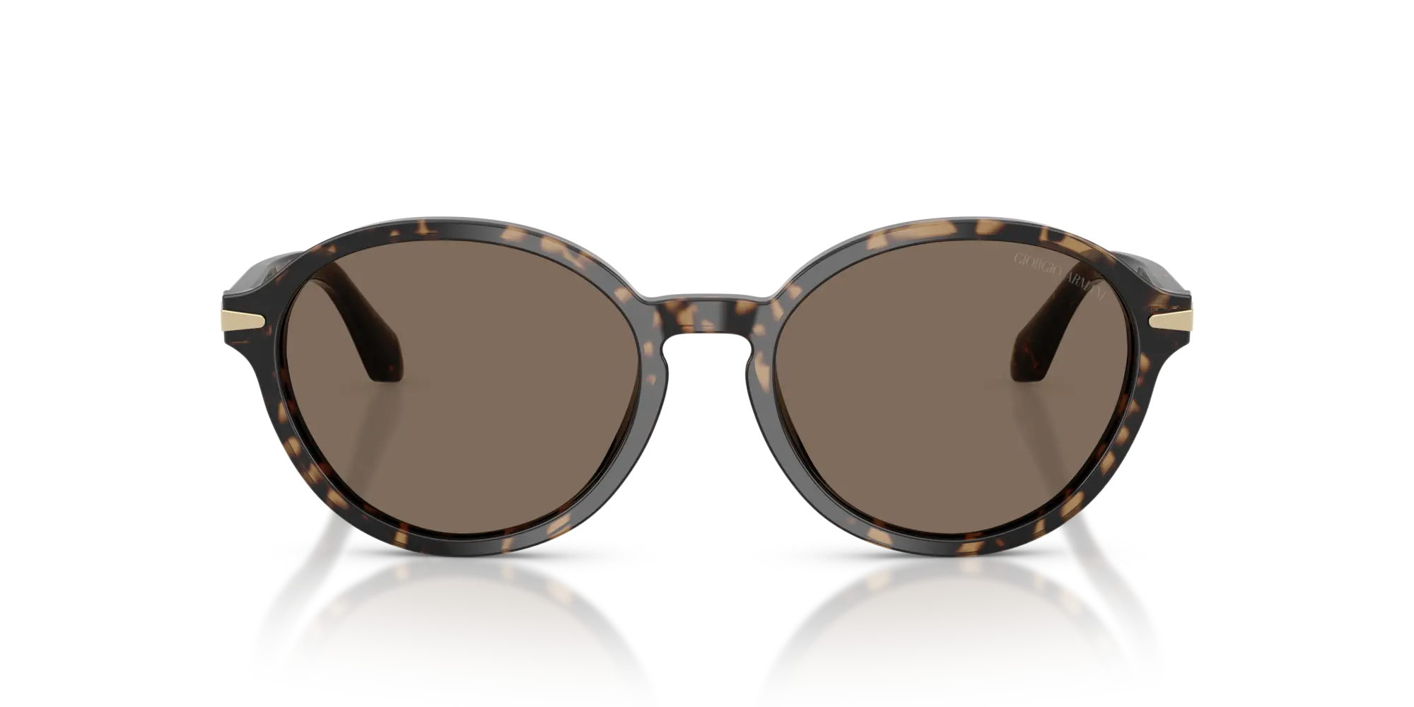 Occhiali Da Sole Giorgio Armani AR8237 623573 53