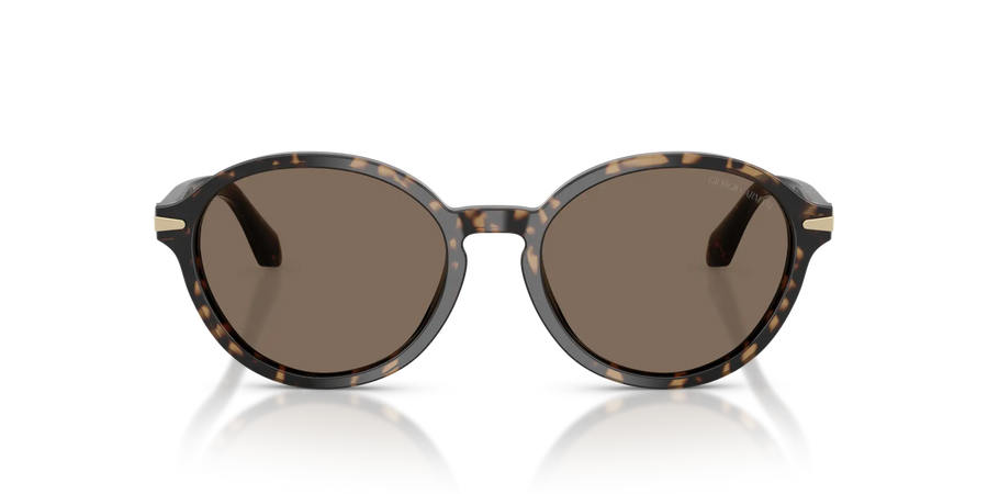 Giorgio Armani AR8237 623573 53 Sunglasses