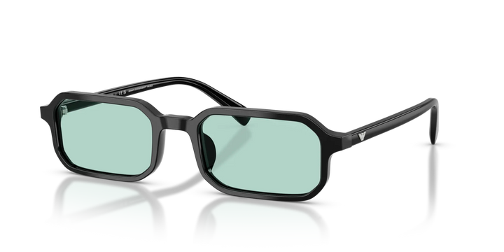 Emporio Armani EA4253U 501765 54 Sonnenbrille