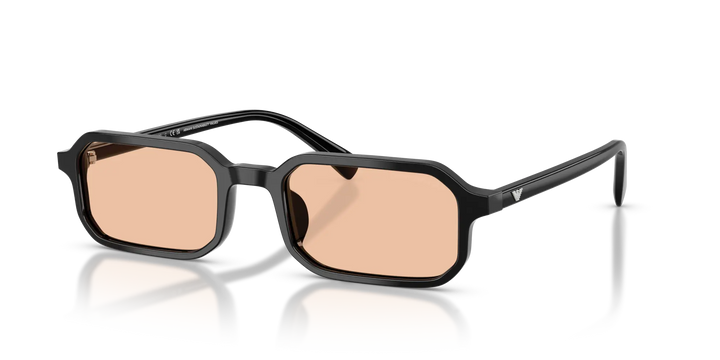 Emporio Armani EA4253U 501793 54 Sonnenbrille