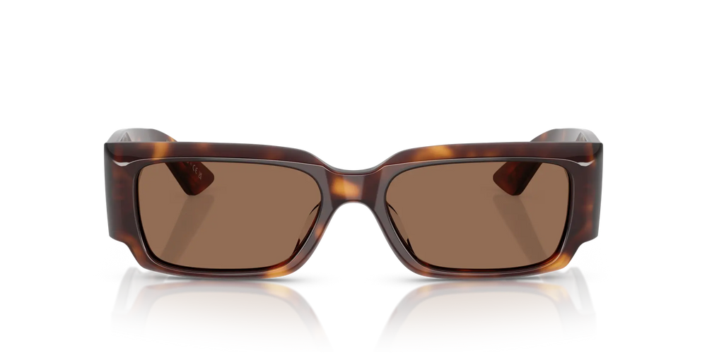 Oliver Peoples 1995C OV5583SU 100773 54 Sunglasses 
