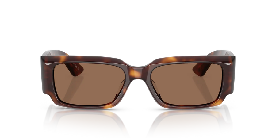 Oliver Peoples 1995C OV5583SU 100773 54 Sunglasses 