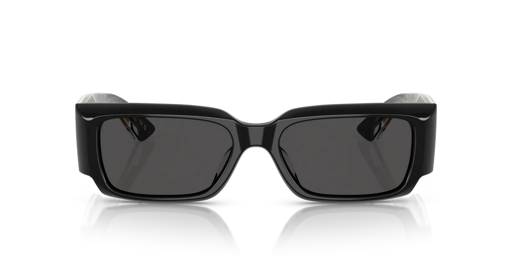 Oliver Peoples 1995C OV5583SU 149287 54 Sonnenbrille 