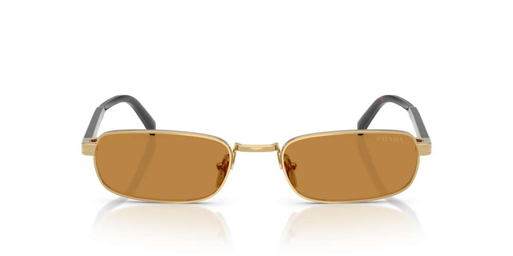 Prada Sonnenbrille PR B54S 5AK50P 54 
