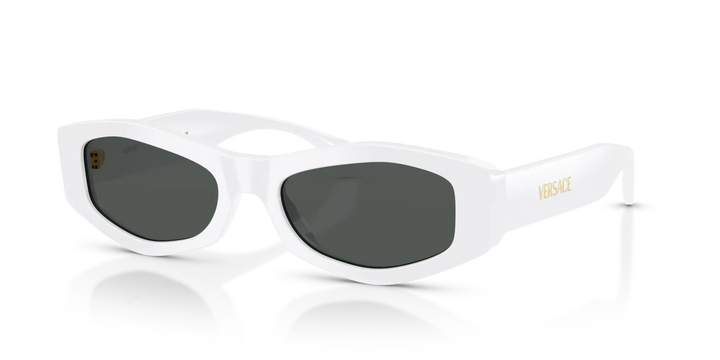 Versace Sunglasses VE4487 314/87 54