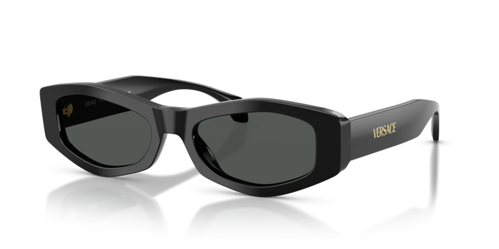 Versace Sunglasses VE4487 GB1/87 54