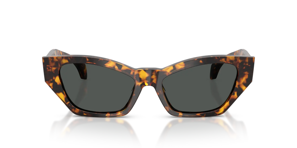 Versace Sunglasses VE4488U 551487 53