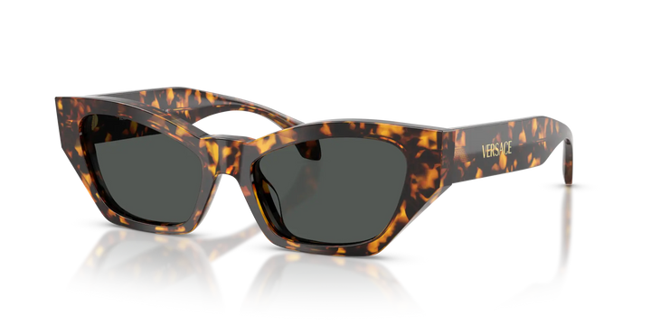 Versace Sunglasses VE4488U 551487 53