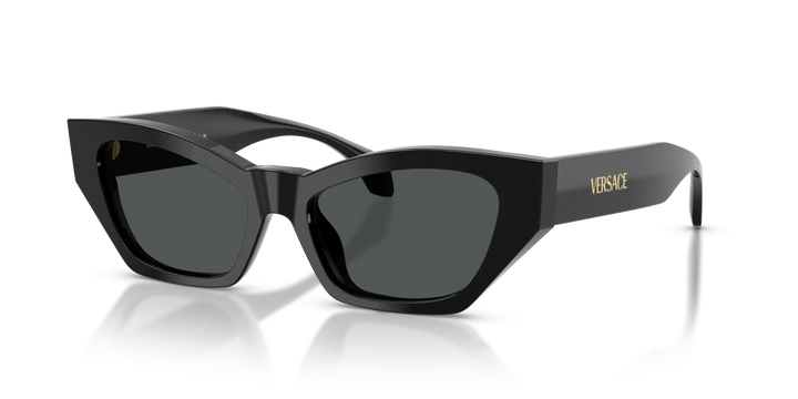 Versace Sunglasses VE4488U GB1/87 53