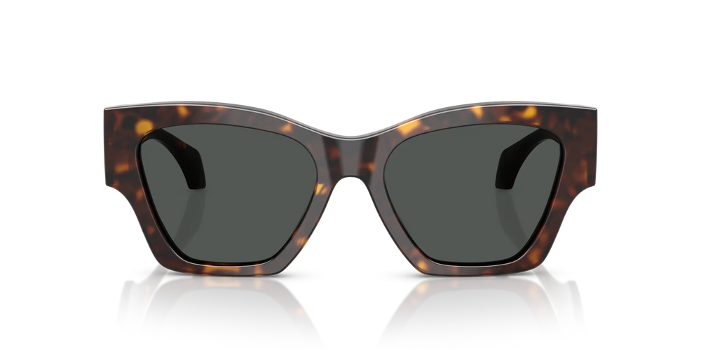 Versace Sunglasses VE4492U 108/87 53