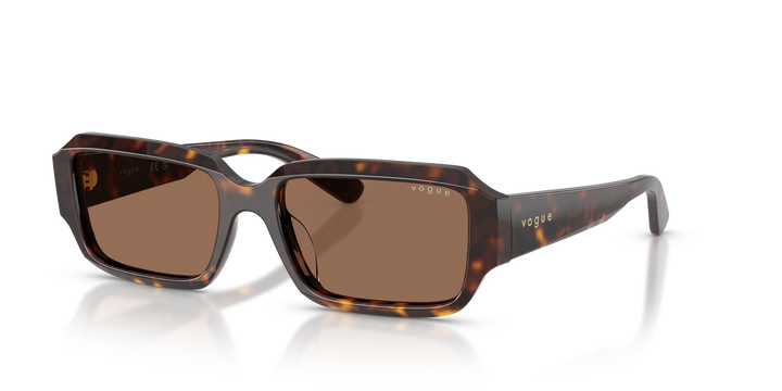 Vogue Sunglasses VO5693SU W65673 54