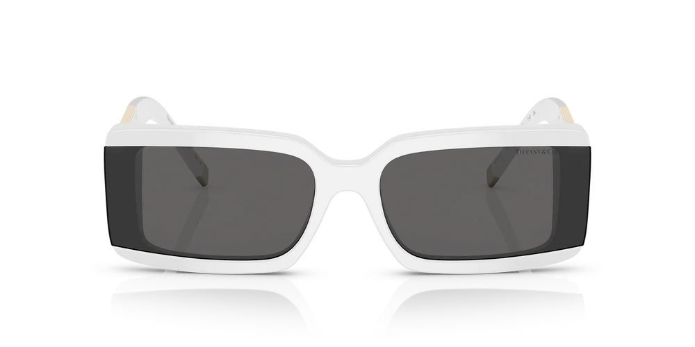 Tiffany Sunglasses TF4197 8357S4 62