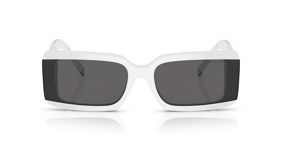Tiffany Sunglasses TF4197 8357S4 62