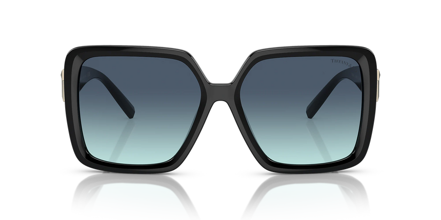 Tiffany TF4206U 80019S 58 Sunglasses