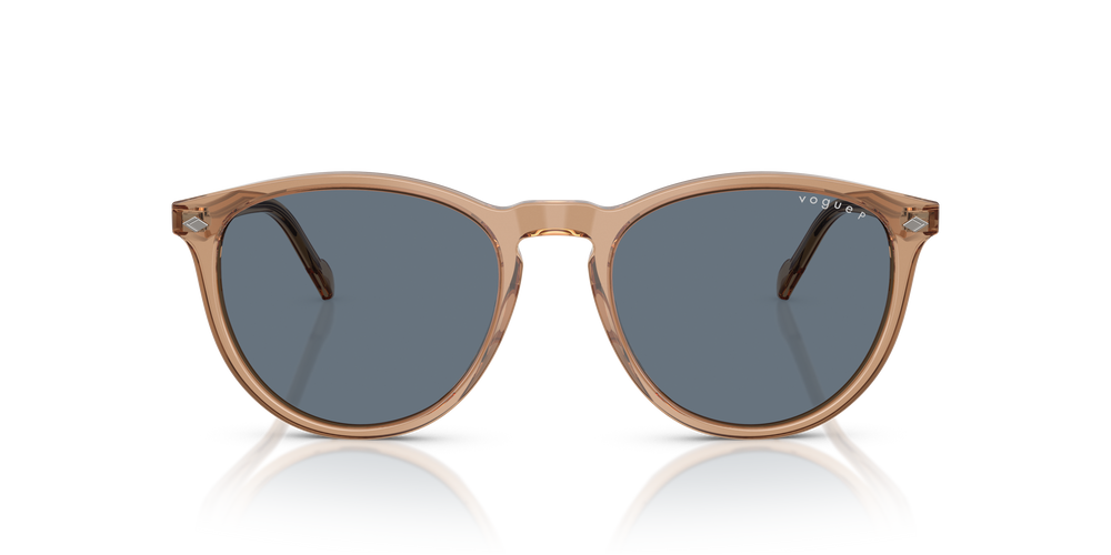 Vogue Sonnenbrille VO5599S 31894Y 53