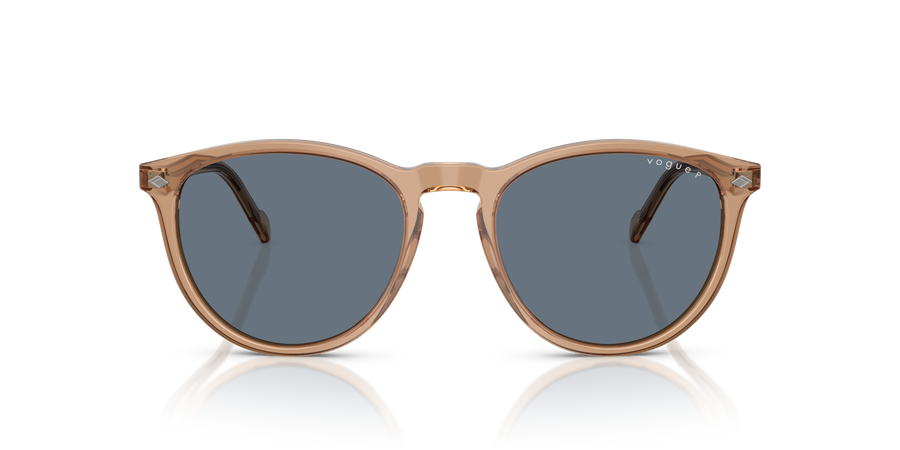 Vogue Sonnenbrille VO5599S 31894Y 53