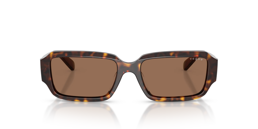 Vogue Sunglasses VO5693SU W65673 54