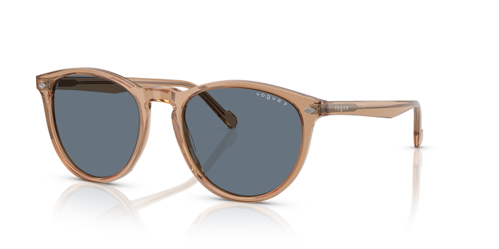 Vogue Sonnenbrille VO5599S 31894Y 53