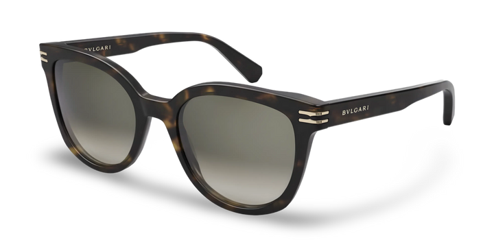 Brown Tortoiseshell Butterfly Sunglasses