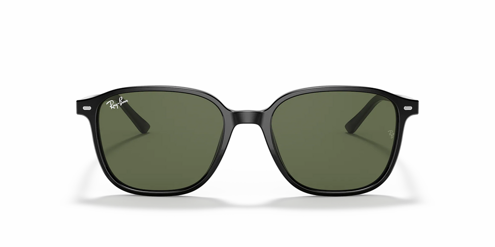 Ray-Ban LEONARD RB2193 901/31 53 Sonnenbrille
