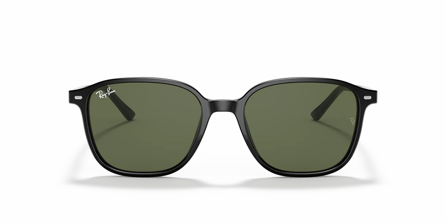 Ray-Ban LEONARD RB2193 901/31 53 Sonnenbrille