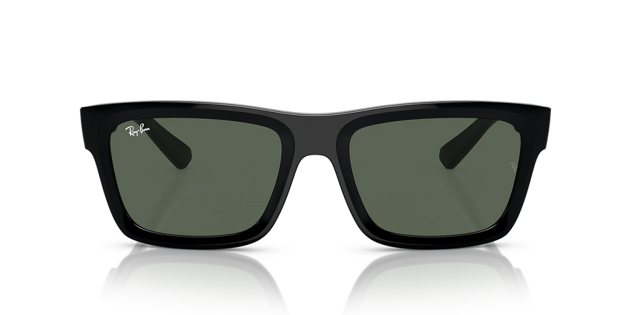 Occhiali Da Sole Ray-Ban WARREN RB4396 667771 54